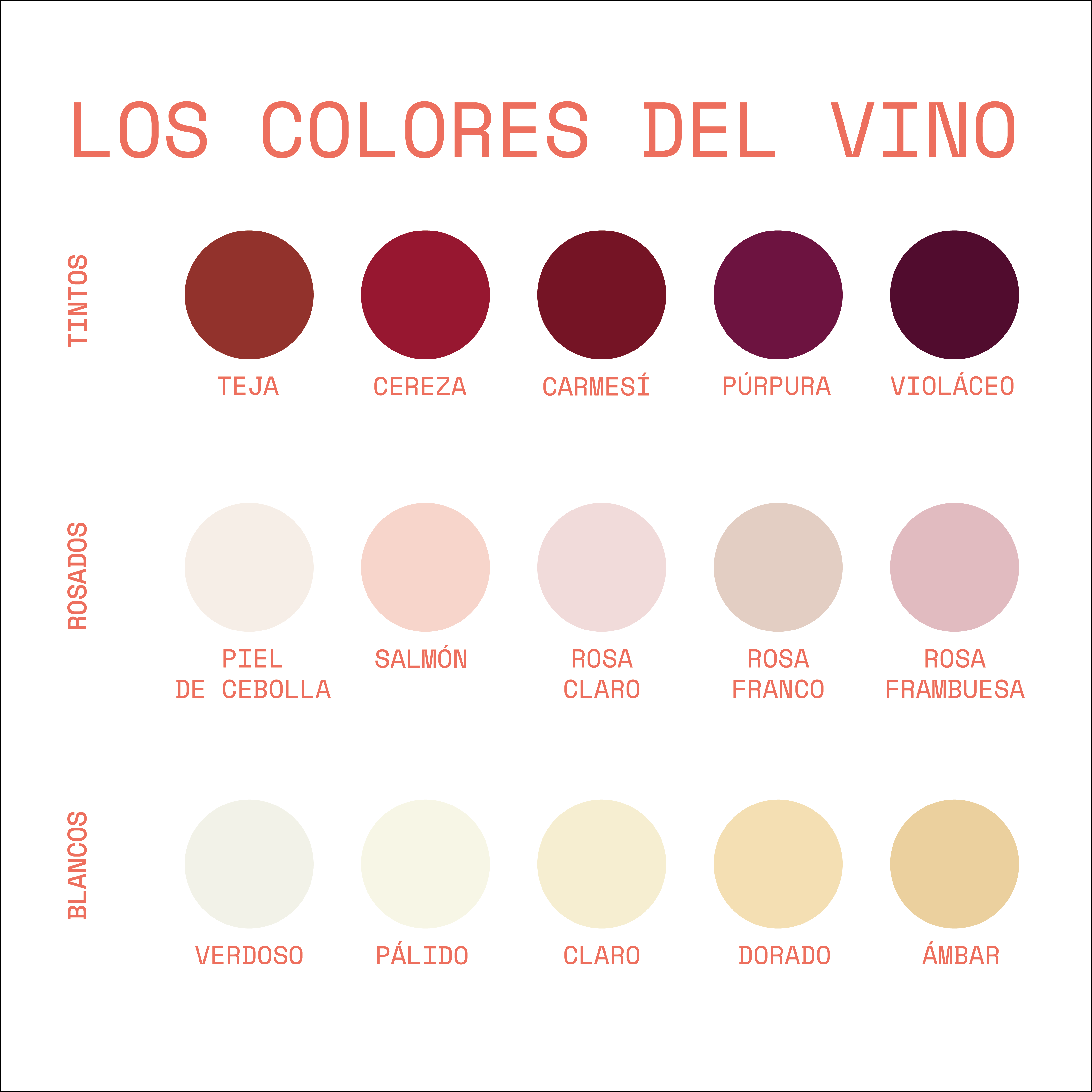 Qué es el Vino y Cómo Se Hace ｜Rosadito